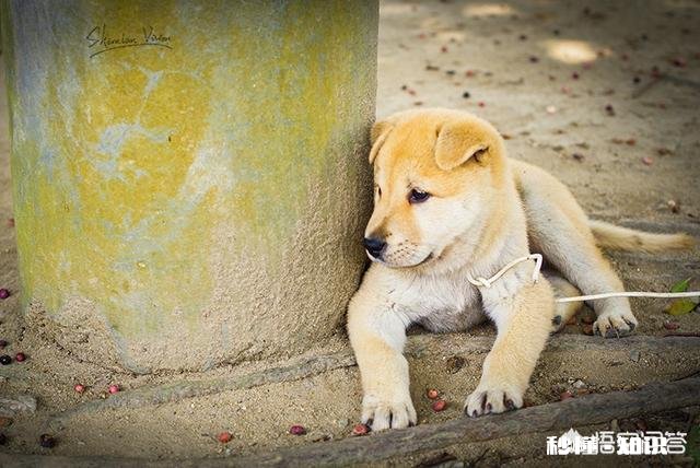 生活中为什么经常感到孤独，迷茫，慌张