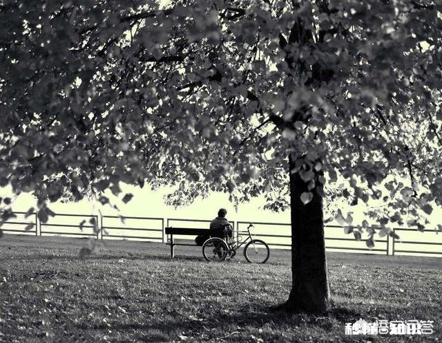 生活中为什么经常感到孤独，迷茫，慌张