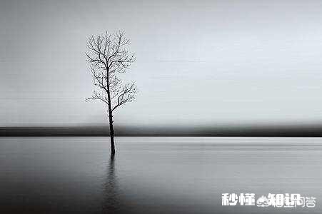 生活中为什么经常感到孤独，迷茫，慌张