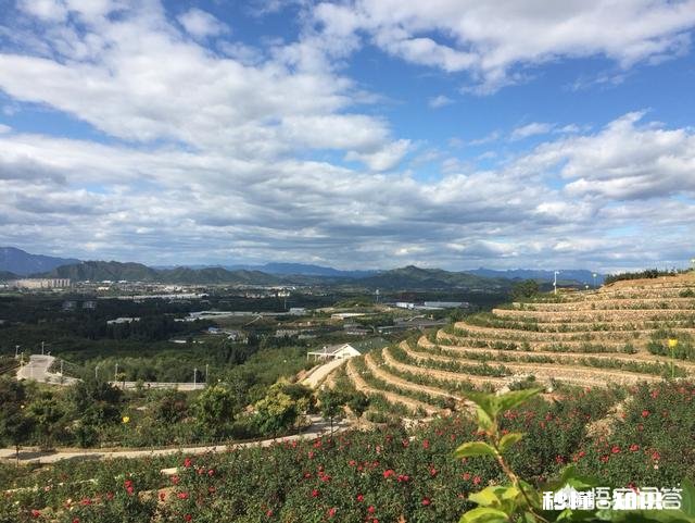 摄影爱好者在拍照片时如何协调“大场景”和“小局部”呢