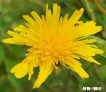 你还经常在微信朋友圈里给人点赞吗一般给什么人点赞