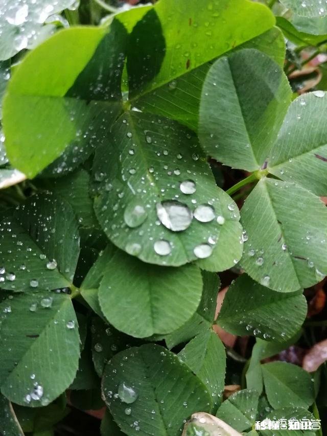 为啥我总觉得别人顺利，就我倒霉