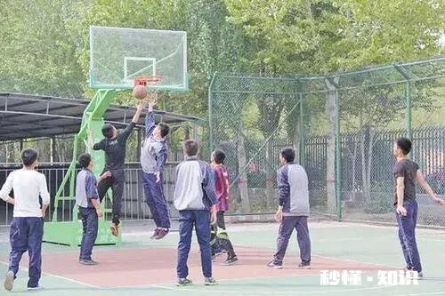 新手怎么在野球场和大家玩的开心