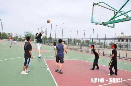 新手怎么在野球场和大家玩的开心