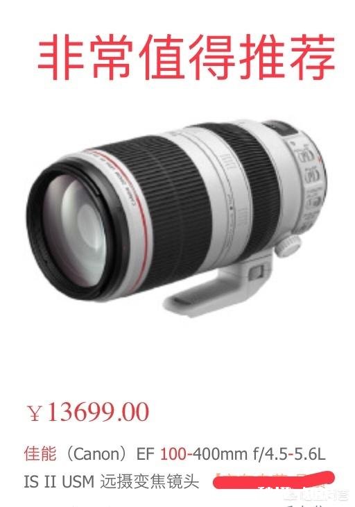 用100-400拍鸟，80d不用增倍镜，5d3使用1.4X增倍镜，哪个画质好一些有哪些经验分享