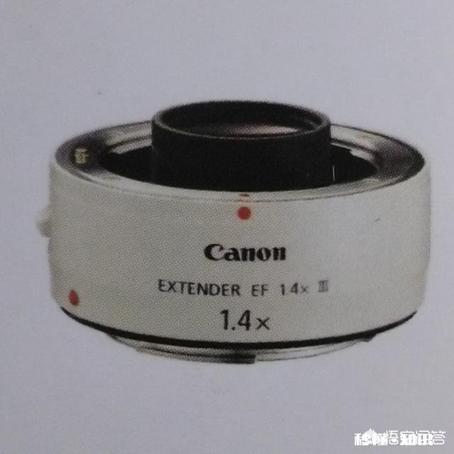 用100-400拍鸟，80d不用增倍镜，5d3使用1.4X增倍镜，哪个画质好一些有哪些经验分享