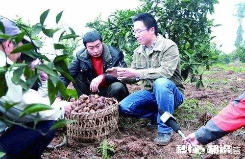 大学生村官考公务员时，有什么优势呢