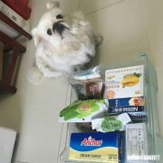 认识一个非成爱的女孩，是一种怎样的体验