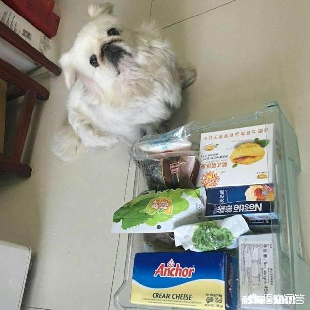 认识一个非成爱的女孩，是一种怎样的体验