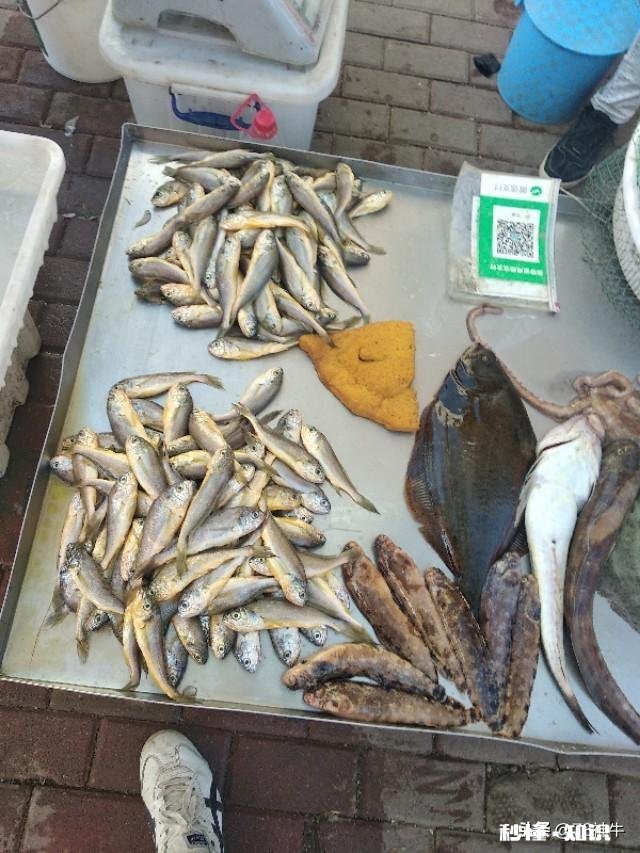 休渔期，市场新鲜又便宜的海鱼你会买吗