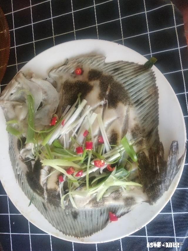 休渔期，市场新鲜又便宜的海鱼你会买吗