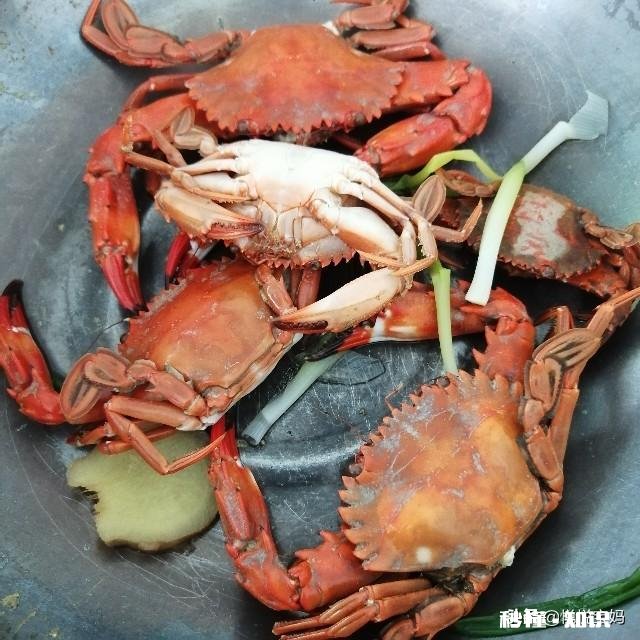 休渔期，市场新鲜又便宜的海鱼你会买吗