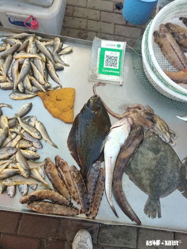 休渔期，市场新鲜又便宜的海鱼你会买吗