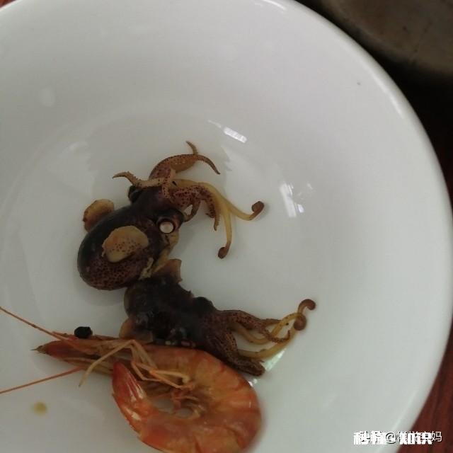 休渔期，市场新鲜又便宜的海鱼你会买吗