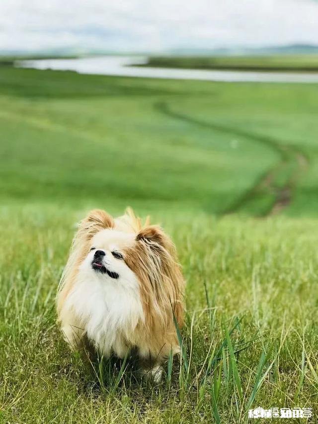 拍摄动物时，如何巧妙的运用室外自然光呈现动物之美