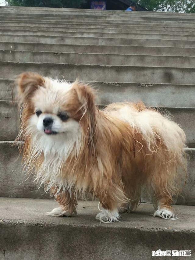 拍摄动物时，如何巧妙的运用室外自然光呈现动物之美