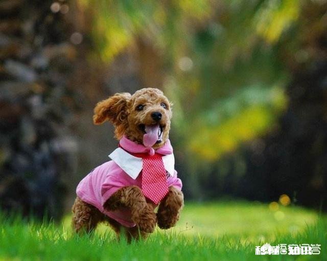 拍摄动物时，如何巧妙的运用室外自然光呈现动物之美