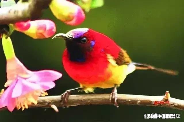 婆婆早年丧夫，不跟我们住一起，三天两头就要他儿子回去怎么办