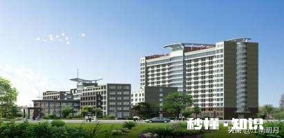 乡镇医院在编6000,与三级医院合同工一万,怎么选择