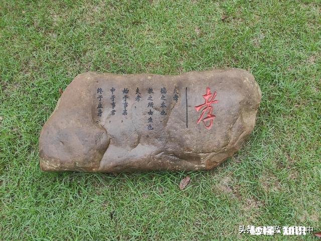 能代表“忠”、“孝”、“节”、“义”的四种动物是什么