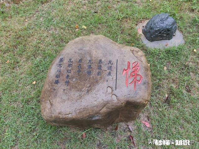 能代表“忠”、“孝”、“节”、“义”的四种动物是什么
