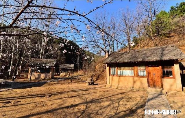 宅基地确权后老宅基地本还有用吗为什么