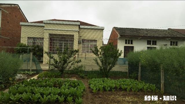 宅基地确权后老宅基地本还有用吗为什么