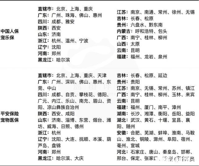 现在的宠物医疗保险怎么样,有哪些推荐