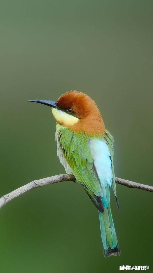 女生时不时的把电话微信拉黑,她的目的是什么