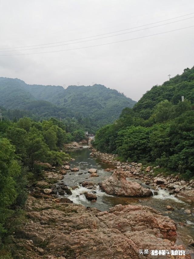 尿酸患者可以吃海鲜吗