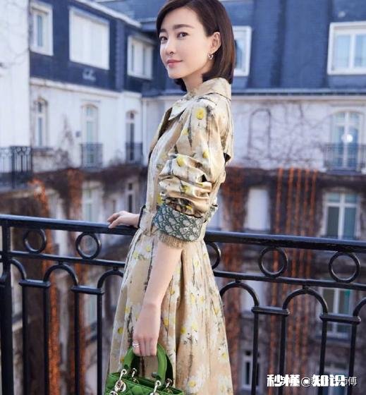 为什么今年流行小雏菊有什么背景吗