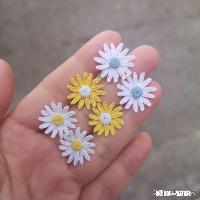 为什么今年流行小雏菊有什么背景吗