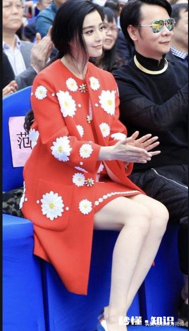 为什么今年流行小雏菊有什么背景吗