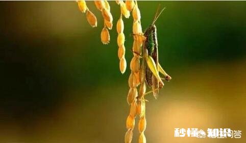 上联：知我者谓我心忧，如何对下联