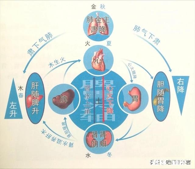 《四圣心源》看不懂怎么办