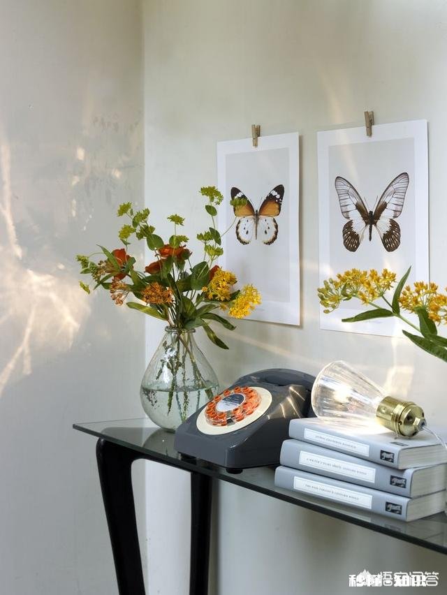 装修完两年了，壁纸胶味道还是特别大，什么原因，怎么办啊