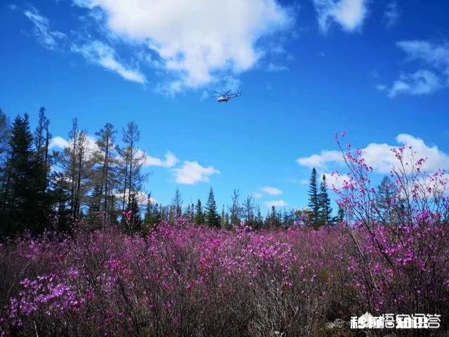 蒙古东北处于同一纬度都是低温地区，为什么东北人口繁密，而蒙古却并没有那么多人