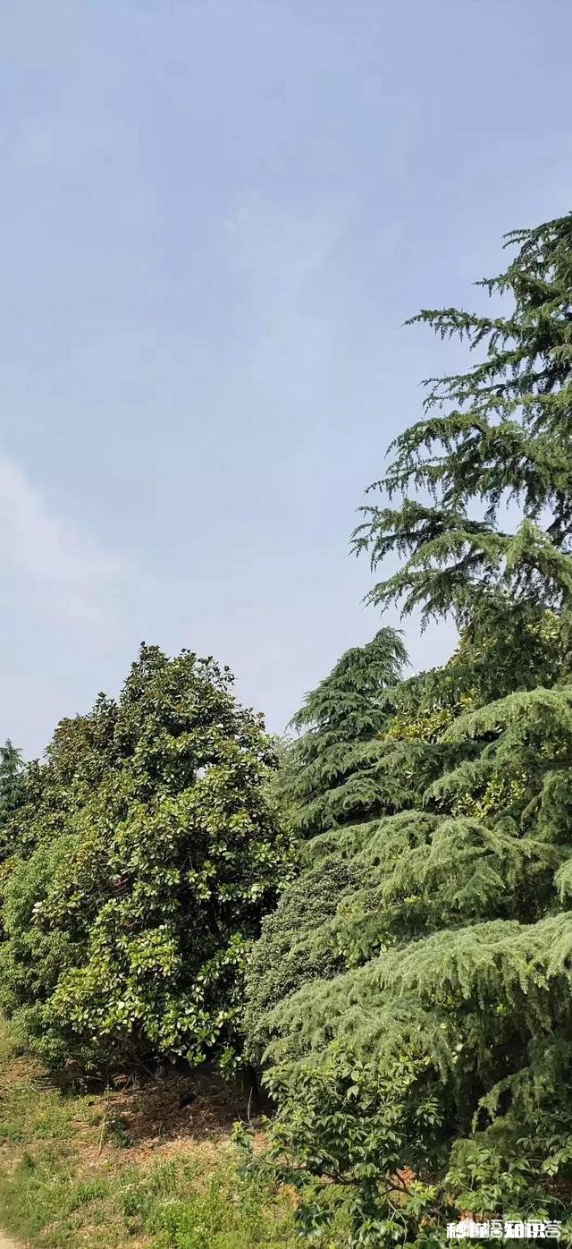 蒙古东北处于同一纬度都是低温地区，为什么东北人口繁密，而蒙古却并没有那么多人