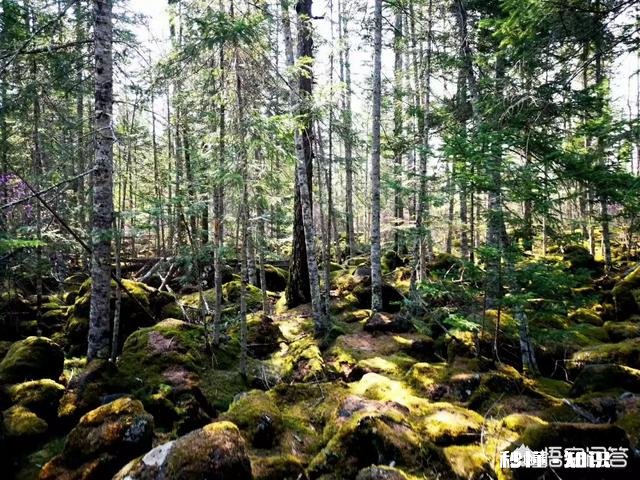 蒙古东北处于同一纬度都是低温地区，为什么东北人口繁密，而蒙古却并没有那么多人