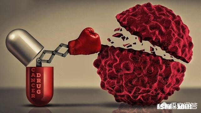 多数人患上癌症后，为何有人几个月就离世有人却非常长寿