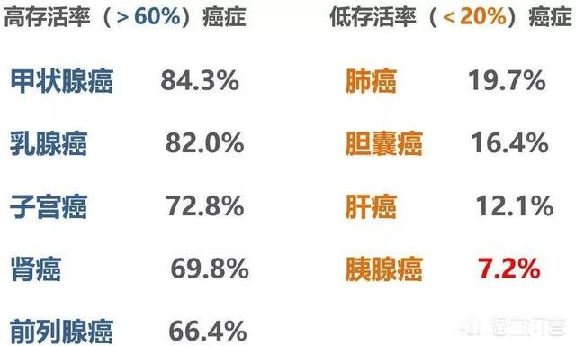 多数人患上癌症后，为何有人几个月就离世有人却非常长寿