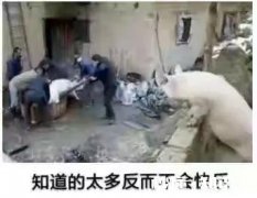 有什么办法能让失眠的人入睡呢