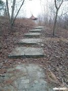 如何跨越无法和最重要的人分享生活点滴的遗憾