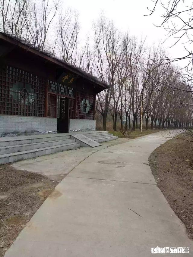 如何跨越无法和最重要的人分享生活点滴的遗憾