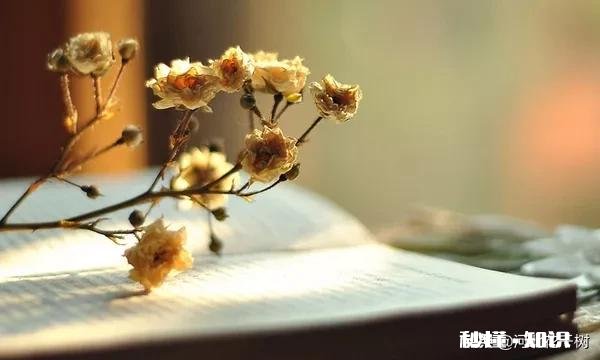 赡养85岁失能父母，子女累了，怎么办