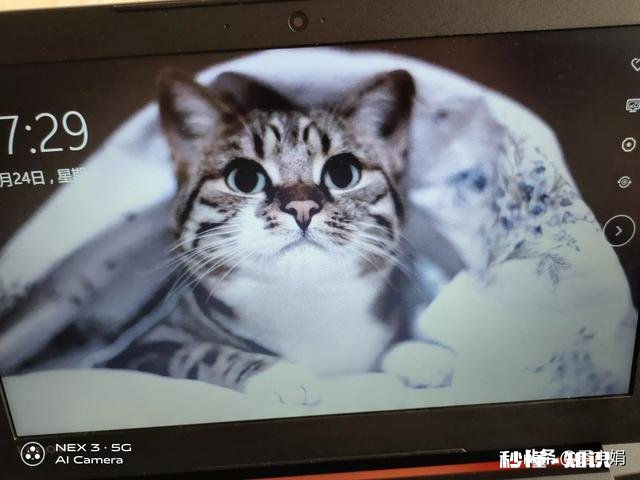 在北京开一家卖岫玉的小店，会盈利吗