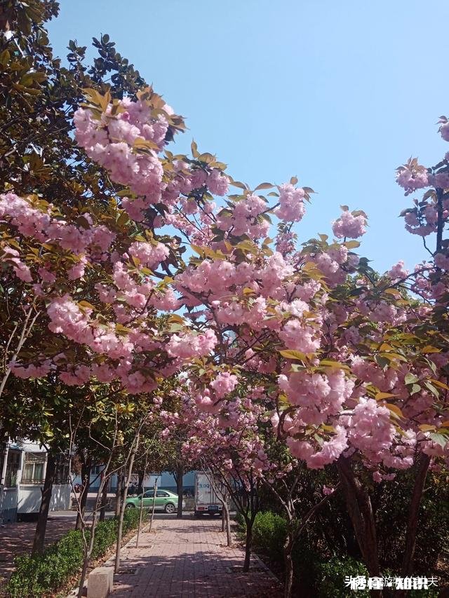 问为什么报道中有那么多的人会得抑郁自杀呢