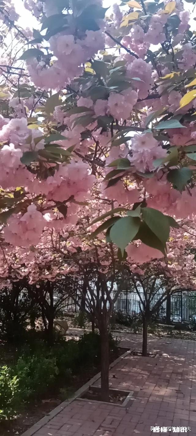 问为什么报道中有那么多的人会得抑郁自杀呢