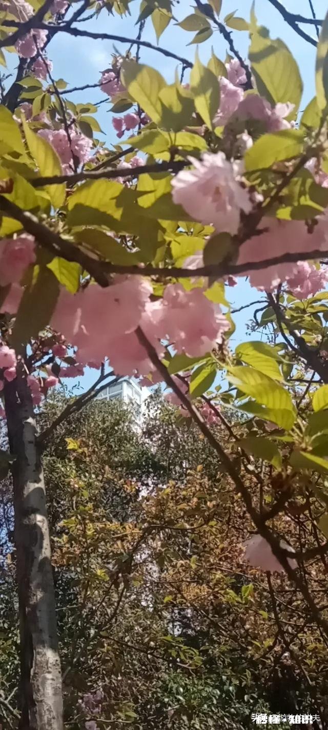 问为什么报道中有那么多的人会得抑郁自杀呢