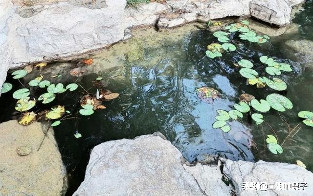 你们有没有最好的朋友去世的经历是怎样从悲伤里走出来的